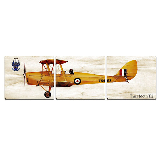 Tiger Moth T.2 Triptych - PS643