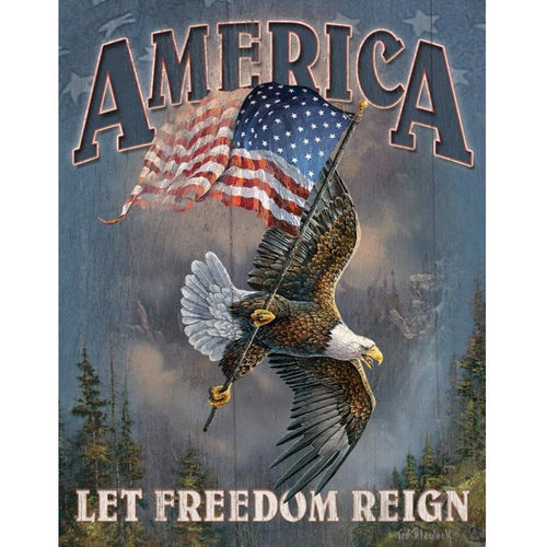 America Let Freedom Reign Tin Sign