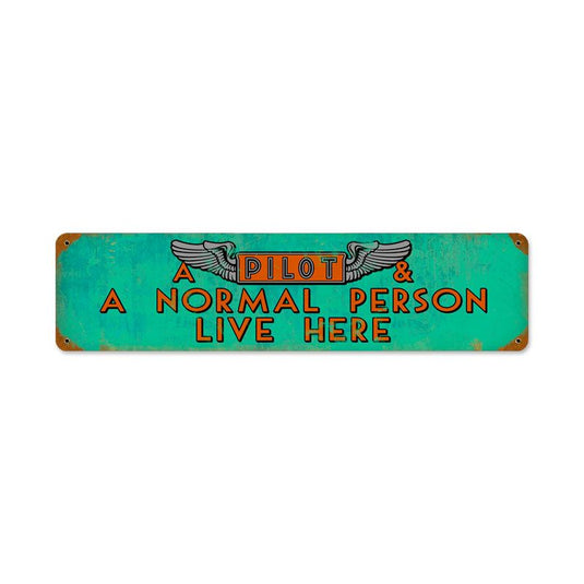 Pilot And Normal Person Metal Sign - PTS336